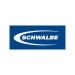 Schwalbe